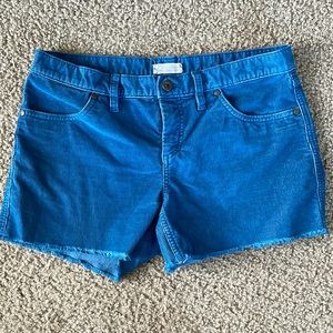 Oahu 4" Short: Royal Blue size 6